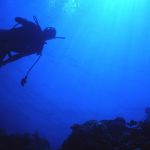 Diver above, Philippines by Derek Keats
