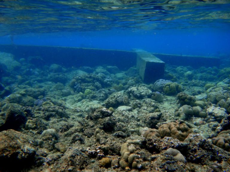 The Sunken Cemetery of Camiguin Island A Diver’s Paradise