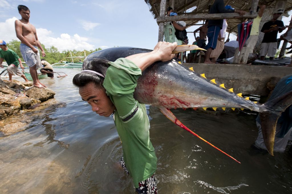 A man with his catch of tuna