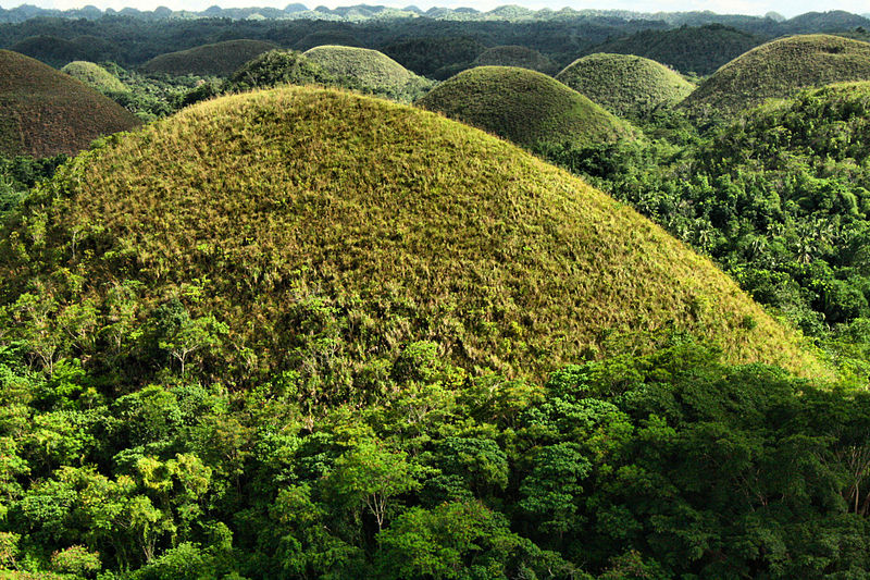 Top Tourist Attractions of Bohol