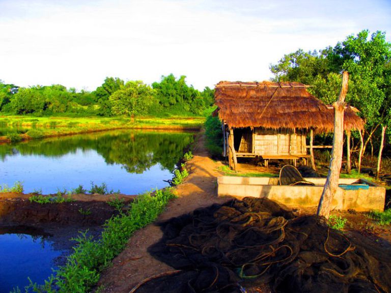 Touring Fish Ponds in Pangasinan