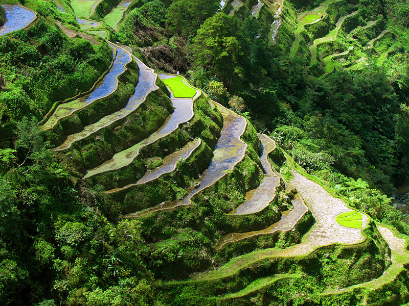 banaue rice terraces