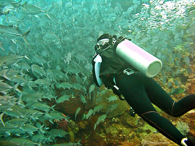 Weekend diving at Anilao, Batangas