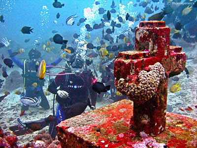 Diving in Anilao Photo by: phoenixperience.blogspot.com