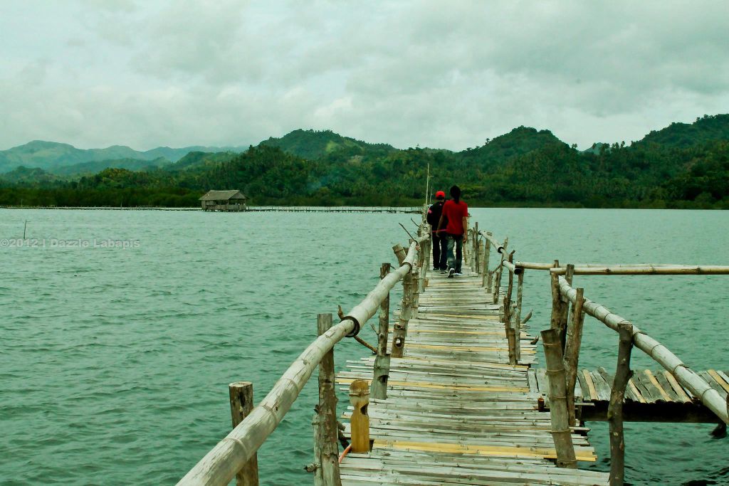 Bridge to Pawa Mangrove Ecosystem and Wildlife Park Image source: philippine-environment.org