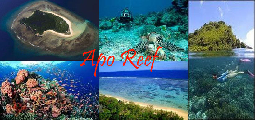 Apo Reef Image source: sablayan-a-place-to-remember.blogspot.com