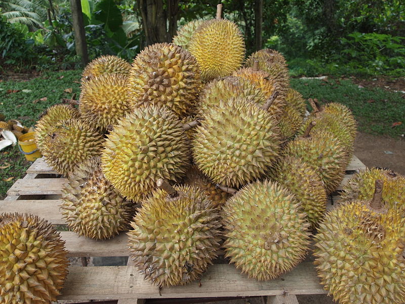 Durian Image source: Kalai/CC