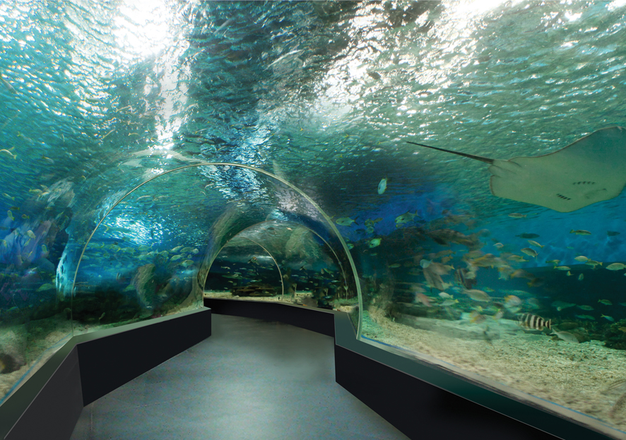 Image source: manilaoceanpark.com