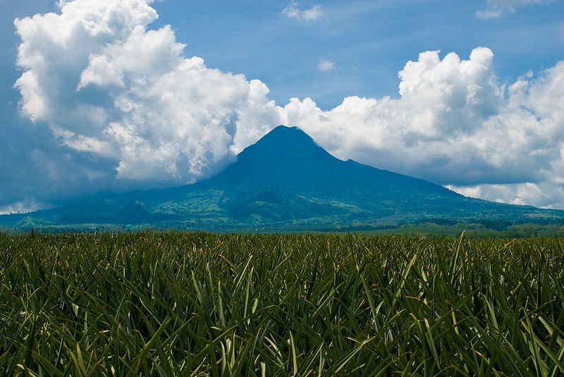 Why You Should Climb Mt. Matutum As Soon As Possible