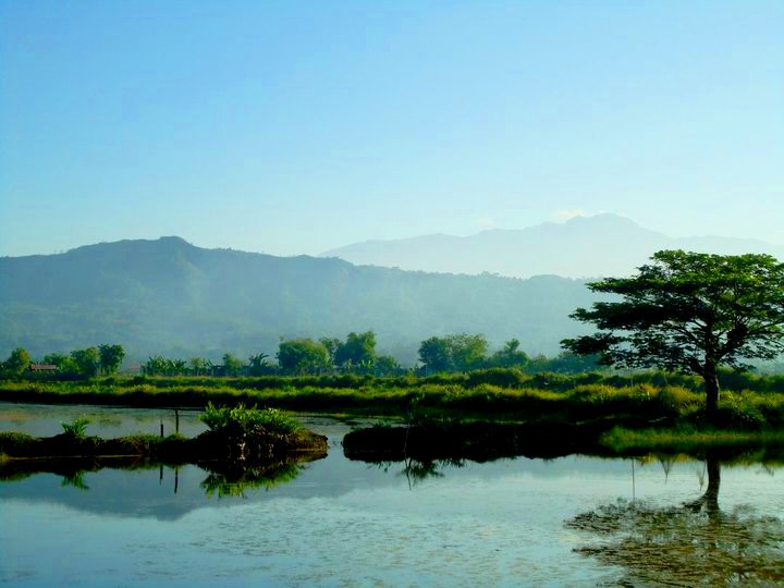 San Roque West fish ponds at Sitio Banaoang Image source: Mund24/Creative Commons