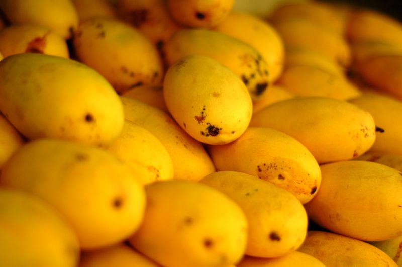 mangoes from Cebu, Philippines Image source: Lemuel Cantos of Flickr.com/Creative Commons