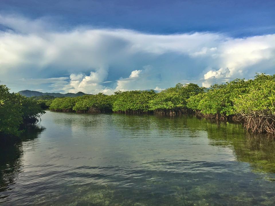 Enjoying a One-of-a-Kind Adventure in Day-Asan Floating Village