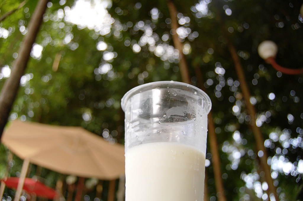 Fresh Milk at Molave Milk Station, Brgy. Dakit, Barili Image source: George Parrilla/Creative Commons