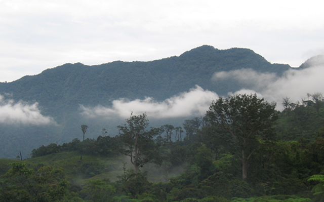 The Mount Malindang National Park: Nature’s Treasure Trove