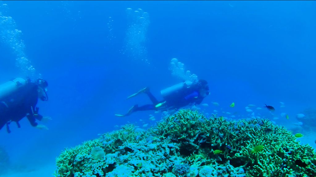 Tagabebe Diving Site in Governor Generoso Image source: news.davaooriental.com.ph