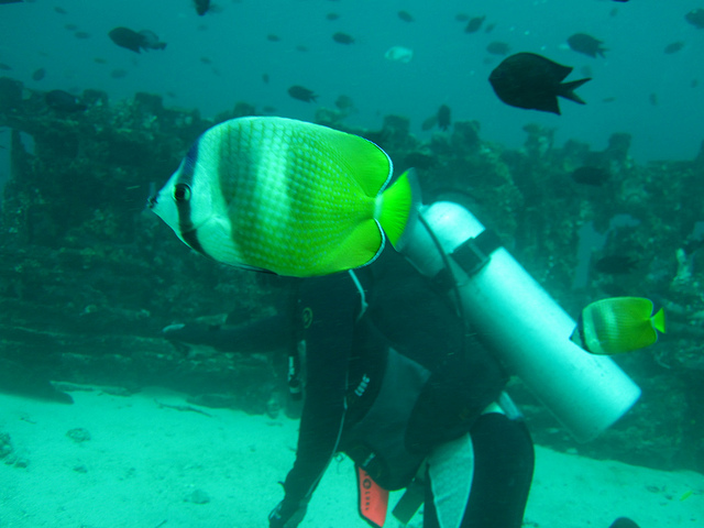 top wreck dive spots in the Philippines