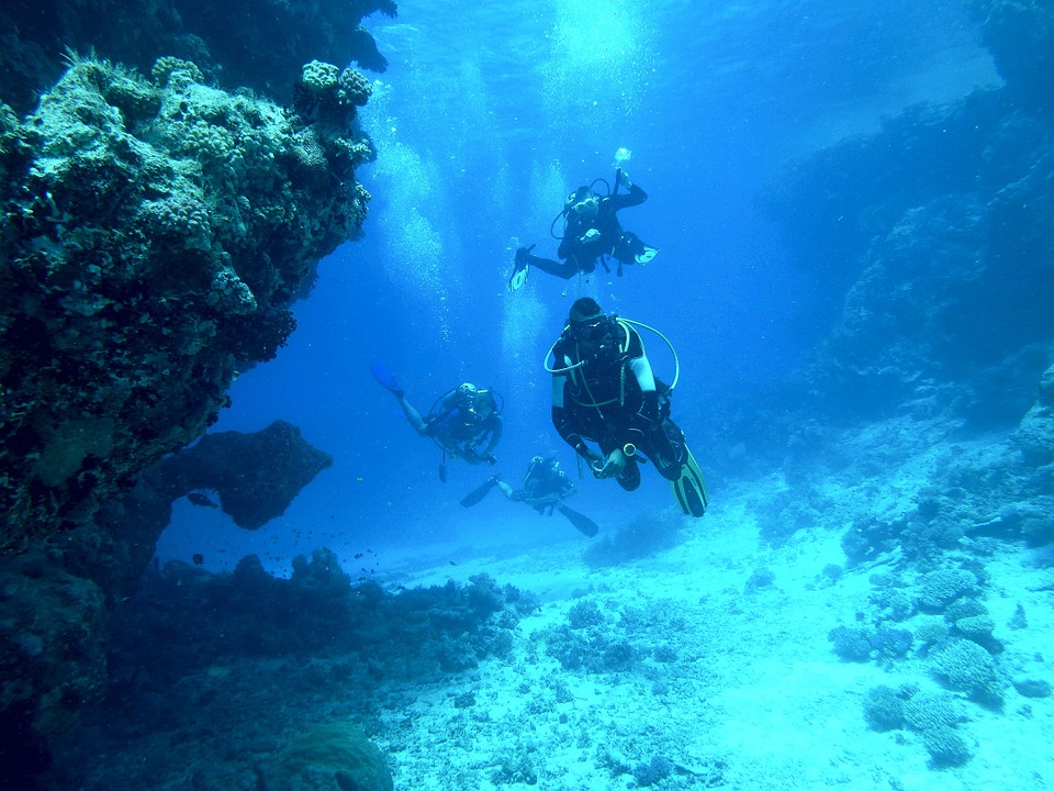Best Dauin Dive Sites in Negros Oriental