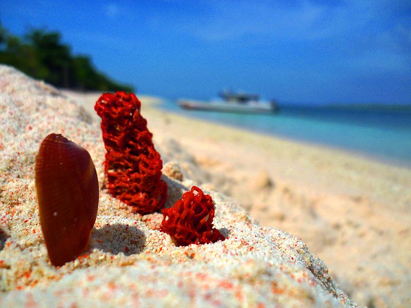 2 Pink Beaches in the Philippines You Should Include in Your Bucket List