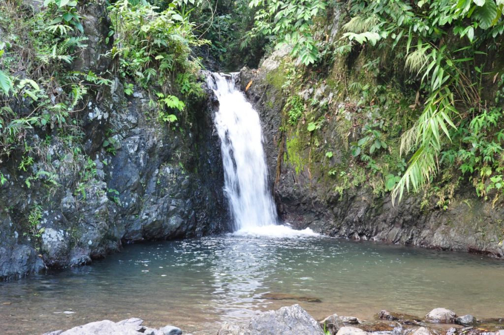 Viga: Getting Around the Rice Granary of Catanduanes | TriptheIslands.com