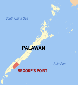 Map of the Brooke's Point, Palawan Photo by: TheCoffee /Wikimedia Commons