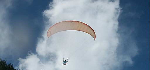 Sky Diving Photo by: Jayasree/Wikimedia Commons 