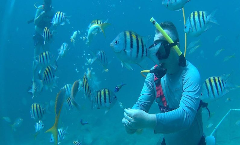 The Half-Hour Before a First Underwater Breath