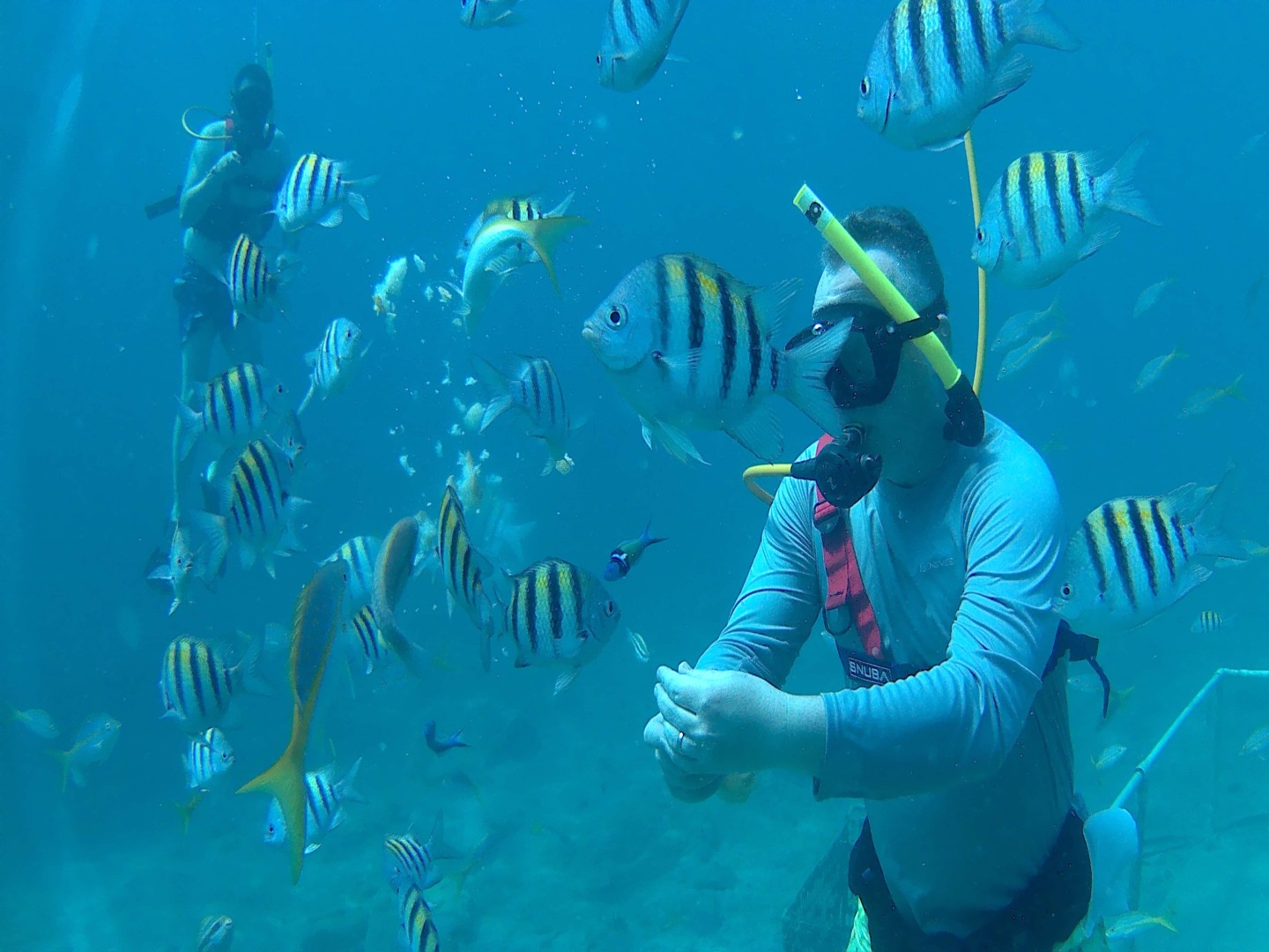 The Half-Hour Before a First Underwater Breath
